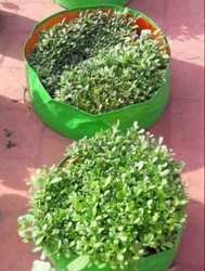 handmade-craft-arrivals1